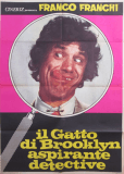Il gatto di Brooklyn aspirante detective