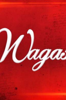 Wagas (сериал)