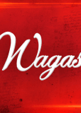 Wagas (сериал)