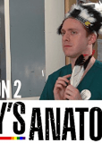 Gays Anatomy (сериал)