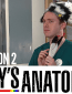 Gays Anatomy (сериал)