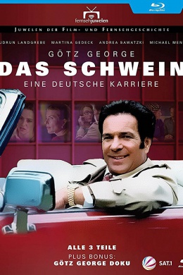 Das Schwein - Eine deutsche Karriere (сериал)
