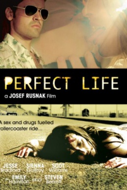 Perfect Life