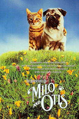 posterpic
