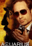 Водолей (сериал)