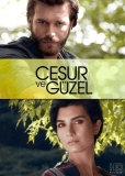 Отважный и красавица (сериал)