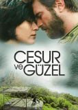 Отважный и красавица (сериал)