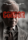 Кондор (сериал)