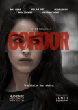 Кондор (сериал)
