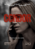Кондор (сериал)