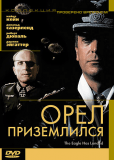 Орел приземлился