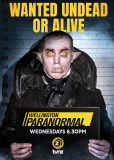 Паранормальный Веллингтон (сериал)