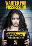 Паранормальный Веллингтон (сериал)