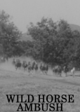Wild Horse Ambush
