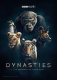 Династии (сериал)