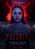 Рассвет