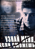 Узнай меня, если сможешь (сериал)