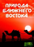 Природа Ближнего Востока (сериал)