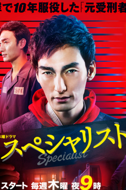 Специалист (сериал)