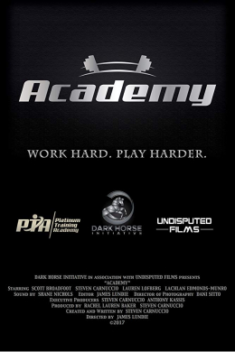 Academy (сериал)