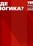 Где логика? (сериал)