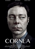 Cornea