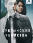 Дублинские убийства (сериал)