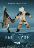 Бельвю (сериал)