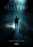 Бельвю (сериал)