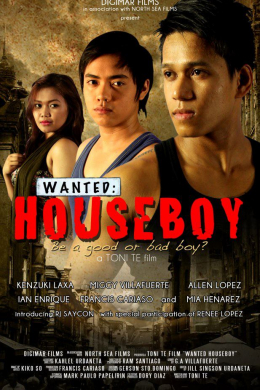 Wanted: Houseboy