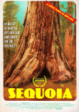 Sequoia