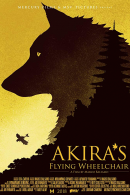 Akira&#039;s Flying Wheelchair