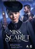 Мисс Скарлет и Герцог (сериал)