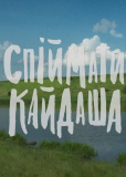 Поймать Кайдаша (сериал)