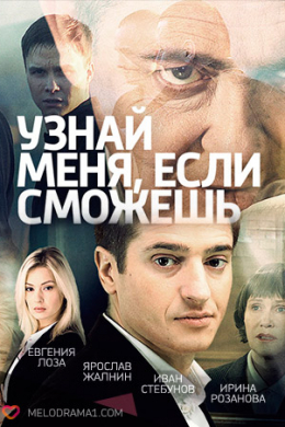 Узнай меня, если сможешь (сериал)