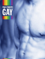 Par-courts Gay, Volume 1