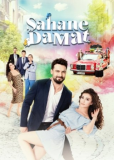 Замечательный зять (сериал)
