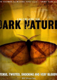 Dark Nature