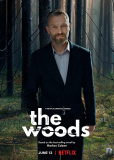 В густом лесу (сериал)