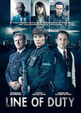 По долгу службы (сериал)