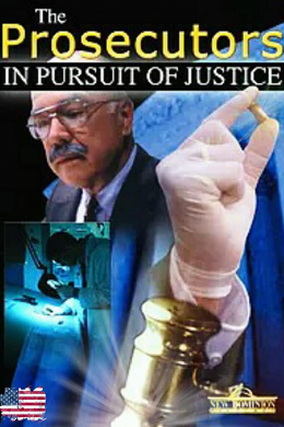 The Prosecutors: In Pursuit of Justice (сериал)