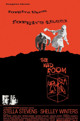 The Mad Room