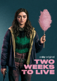 Успеть за две недели (сериал)