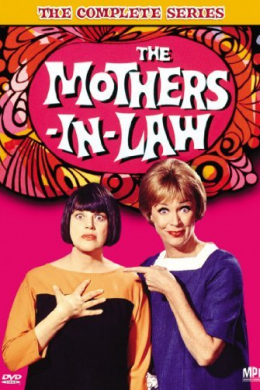 The Mothers-In-Law (сериал)