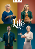 Такая жизнь (сериал)