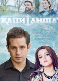 Капитанша (сериал)