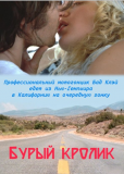 Бурый кролик