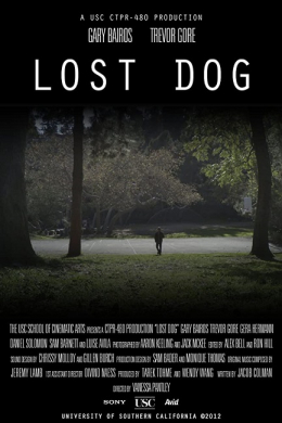Lost Dog