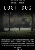 Lost Dog