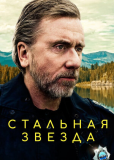 Стальная звезда (сериал)
